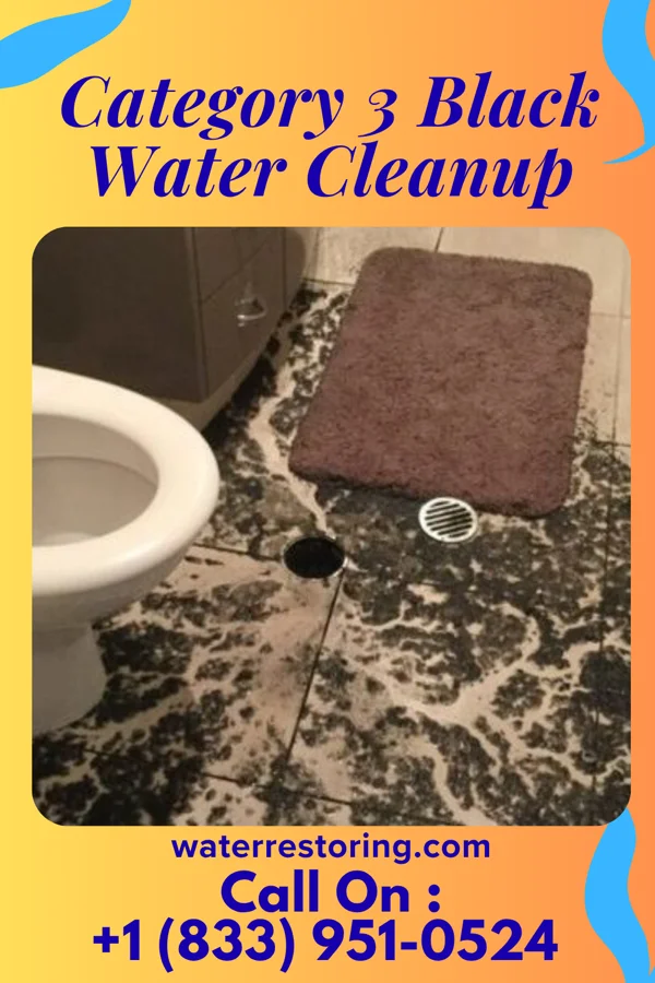 Category 3 Black Water Cleanup in Mount Hood, OR